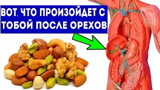 Вот что случится, если орехи кушать каждый день (10 причин кушать орехи)