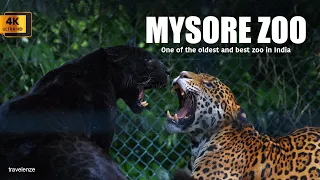 MYSORE ZOO | One of the oldest and best zoo in India | Malayalam | English | 4K | travelenze