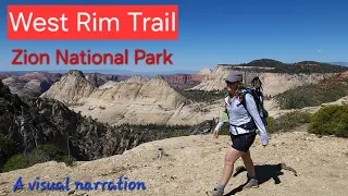 West Rim Trail to Zion Canyon #angelslanding #zionnationalpark #hiking