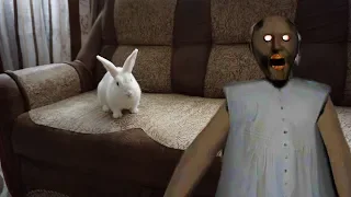 Grenny у реальному житті налякала кролика Лялю.