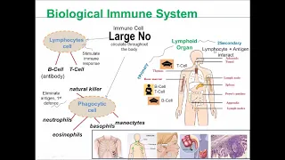 AI Webinar Series 5: Artificial Immune System: A Gifted for Human by Dr. Farhan (SOC, UUM)