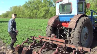 посадили три сотки картошки за 30 тыс, трактор т-40 на огороде