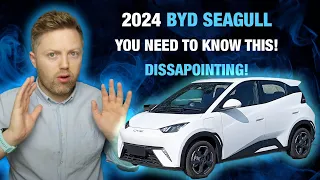 BYD Seagull Production Explodes. The one fact you NEED to know about the Seagull.
