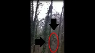 Top 5 Creepiest SOUNDS From The WOODS