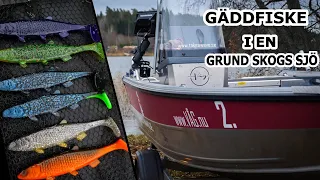 Gäddfiske på hösten - Testar nya färger på egengjorda gummibeten!