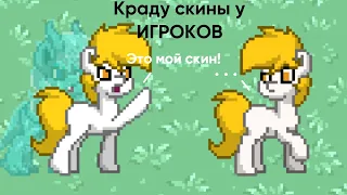 Что будет если скопировать скин игрока и выдовать его за свой? Pony town