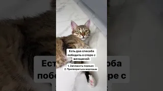 Говорят, что есть и третий, но это не точно