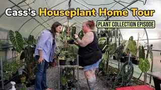Explore Cass's Houseplant Collection & Greenhouse Tour - Anthurium Lover’s Dream!