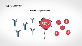 Kurz und verständlich: Typ-1-Diabetes früh erkennen und vorbeugen