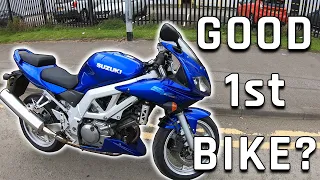 Is The Suzuki SV650S A Good First Bike?