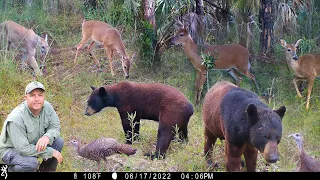 Tim Harrell - Browning Recon Force Advantage Trail Camera Pickup