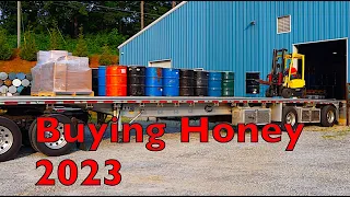 Buying Spring Honey 2023