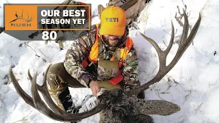 BSY | 30" WIDE BIG BUCK | S1E80