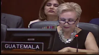 2019 AUG 07. The Permanent Council and the Inter-American Council for Integral Development