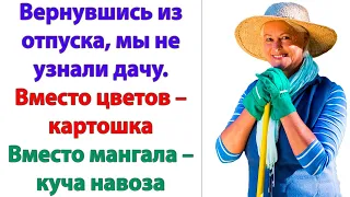 Невестка, увидев дачу подошла к свекрови, и заорала - Собирайте свои вещи, утят, навоз и вон отсюда!