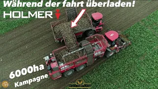 Während der fahrt überladen Die 6000ha Rüben Kampagne LU BLUNK im Großeinsatz Rübenernte Rüben 2023