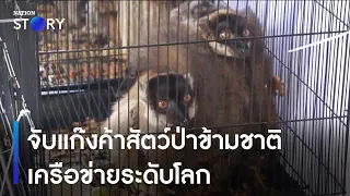 จับแก๊งค้าสัตว์ป่าข้ามชาติเครือข่ายระดับโลก | ข่าวเช้าเนชั่น | NationTV22