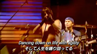 【和訳】Give It Away ‐ Red Hot Chili Peppers (Live at Slane Castle)