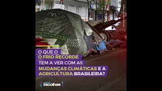 O que o frio recorde tem a ver com as mudanças climáticas e a agricultura brasileira? 🌾❄️