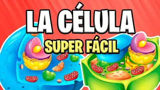 What is THE CELL? 🦠 TYPES and FUNCTIONS