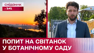 Магнолієвий бум! Люди лізуть через паркан ботанічного саду під час світанку