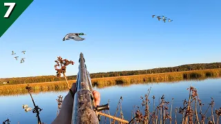 Duck Hunting A HIDDEN POND On Public Land | It Was LOADED With Birds