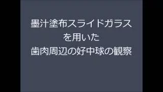 歯肉の好中球 墨汁塗布 2016