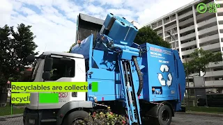 Let's Recycle Right!