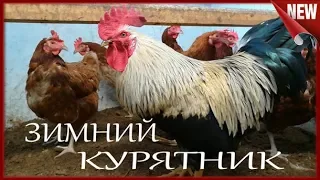 🐓 ЗИМНИЙ КУРЯТНИК!!!🐓 ВЕНТИЛЯЦИЯ, ВЛАЖНОСТЬ, ОБОГРЕВ. Зимнее содержание КУР НЕСУШЕК. 🐓