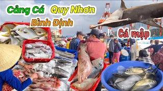 Cảng Cá Lớn Nhất Quy Nhơn 2023 | Toàn Hải Sản Khủng Giá Trị Cao