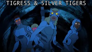 Young Justice 3x15 : Tigress & Silver Tigers