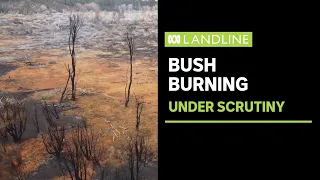 WA Bush Burn: Finding a balance between prescribed burning and biodiversity | ABC News