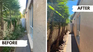 Backyard Makeover  (Satisfying Watch)