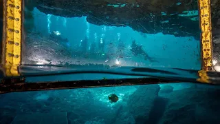 Scuba Diving in Blue Grotto Florida