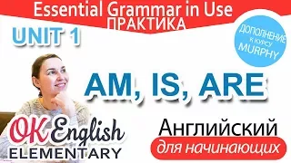 Практика к Unit 1 - Глагол BE в Present: AM, IS, ARE | Уроки английского языка с нуля