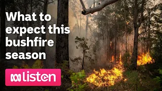 What to expect this bushfire season | ABC News Daily Podcast