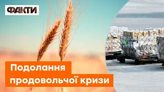 🌾 Україна та Росія ДОМОВИЛИСЬ про експорт зерна? Прогнози вирішення продовольчої кризи
