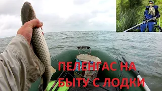 Пеленгас на Быту