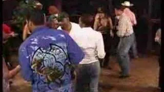 Louisiana Zydeco Live 15