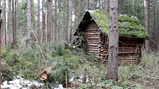 Bushcraft's House among Fallen trees. Spent the night in an abandoned log cabin, like our ancestors