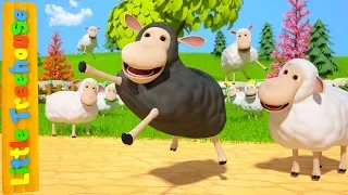 Baa Baa Black Sheep | Kindergarten Nursery Rhymes by Little Treehouse