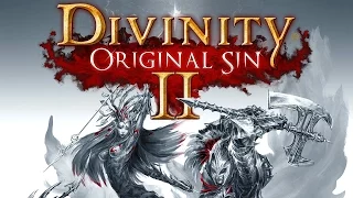 Divinity: Original Sin 2 - превью игры