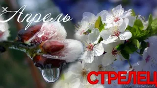 Онлайн гадание: СТРЕЛЕЦ! АПРЕЛЬ 2019! Таро гороскоп