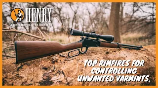 Best Lever Action Rifles For Varmints - Top Four Henry .22 Mag & .17 HMR Models