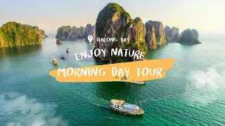 [4-hour] Halong Bay morning cruise, depart from Halong city