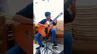 Theme from Love story - Francis Lai I Guitar Cover by Deneth Vishmitha