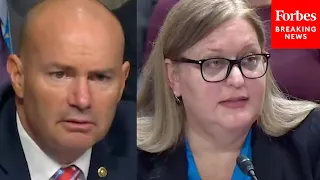 'Yes Or No?': Mike Lee Fiercely Grills Key Biden Official About 'Lost' Unaccompanied Children