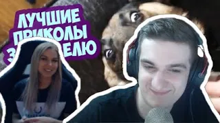 Реакция Эвелона И Его Девушки: 🔥 ПРИКОЛЫ 2019 ЯНВАРЬ 😺 ЛУЧШИЕ СМЕШНЫЕ ПРИКОЛЫ ПОДБОРКА #1