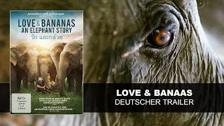 Love & Bananas (Deutscher Trailer) HD | KSM
