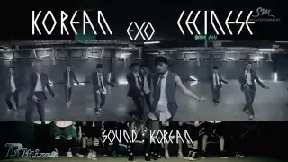 EXO - Growl | Korean - Chinese MV Comparison (ver.A)